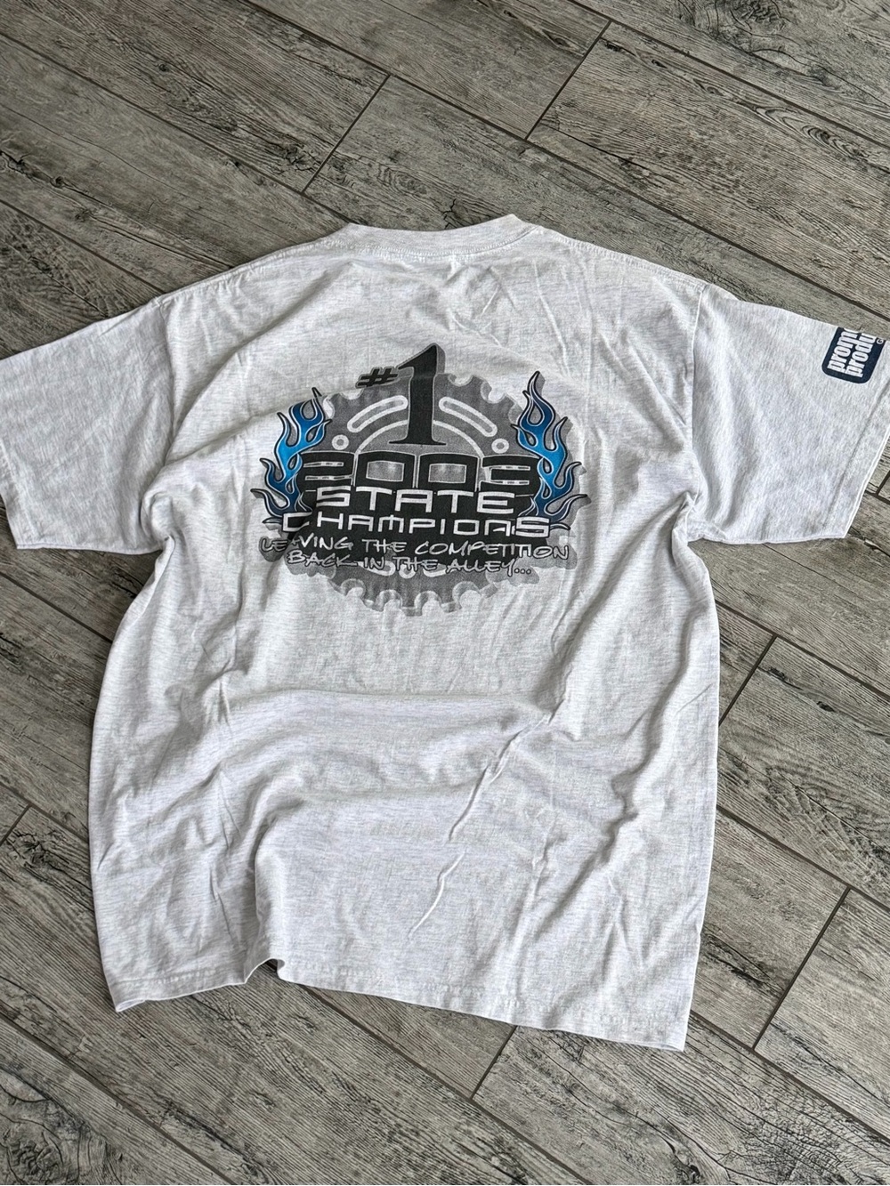 Y2K 2003 Hanes Beefy Graphic Tee